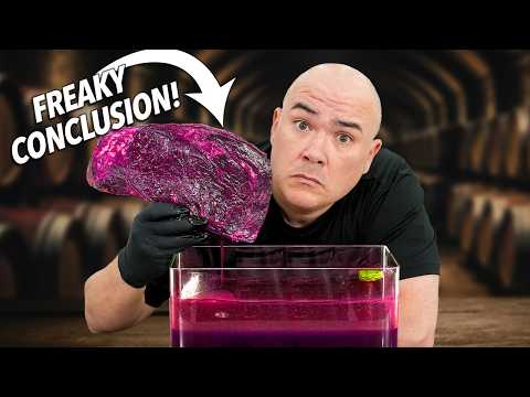 What Happens When You Dry Age a Steak in Red Wine for Months