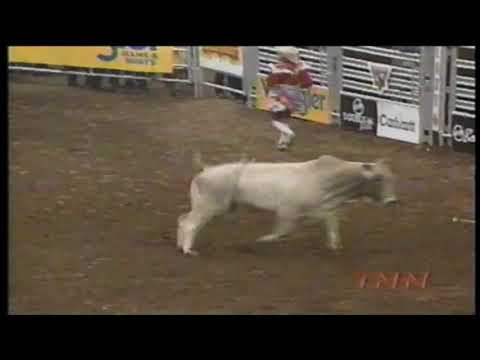 Nitro bucks David Fournier - 98 PBR Guthrie