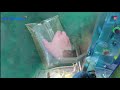 1kg Rapeseed Oil Automatic Packaging Machine Liquid Packaging Machine