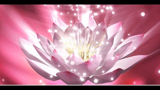 Msica Curativa do Estresse e Aansiedade,Msica para Acalmar a Mente,Eliminar Pensamentos Negativos.