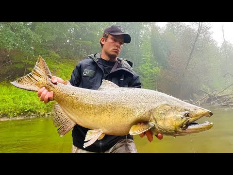 Skein Dunkin' for King Salmon (Bobber Downs & Thunderstick Strikes)
