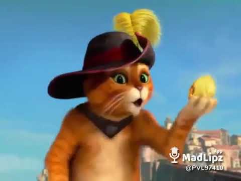 Aller rode un camarade Po ou version 2 (PVL)974