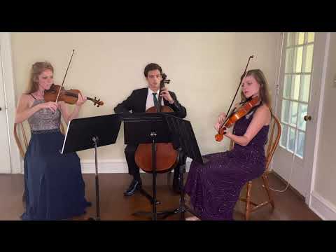 Promotional video thumbnail 2 for Arabesque Ensembles