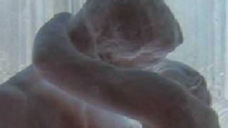 Spacemen 3 and Brian Eno---&quot;Just to See You Smile&quot;/&quot;Becalmed