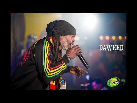 DAWEED  ARMAGUEDON RIDDIM 2023 EN PEPA RÉTÉ LA
