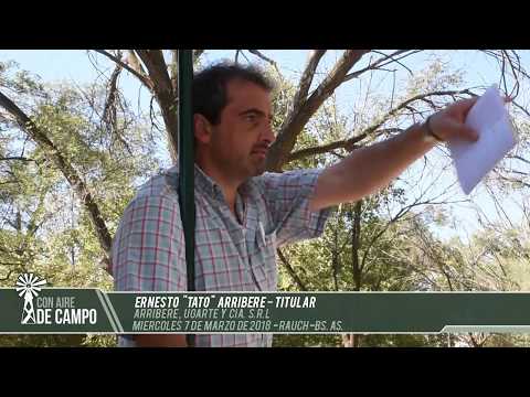 Ernesto "Tato" Arribere - Arribere, Ugarte y Cía. - Miércoles 7 de Marzo de 2018 - Rauch
