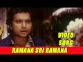 Ramanaa Sri Ramana Venkata Nandhavana Theru