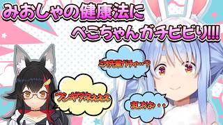 【ガンプラのはずが・・・】ガンプラ配信中にみおしゃの衝撃の健康法にビビるペコちゃん・・・/野うさぎのつどいch【兎田ぺこら.ホロライブ】