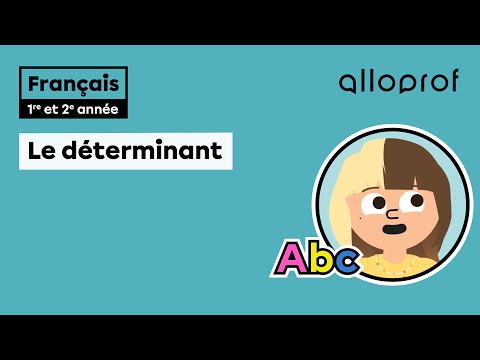 Le déterminant (1re et 2e année) | Français | Alloprof
