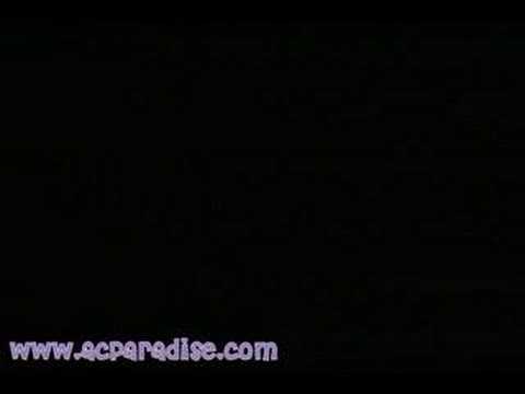 Fanime 2005 - #14 Generic Tentacle Monster of Doom Cuddles