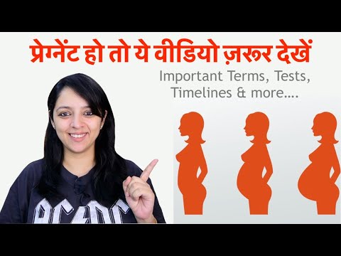 Pregnancy Terms & Timelines you Should be Aware of