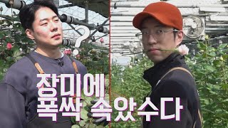 [나는 농부다 348회 1부] 우리 형제는 장미에 폭싹 속았수다