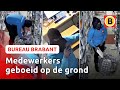 Overvallers houden medewerkers Coolblue onder schot | Bureau Brabant