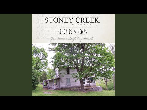 Darling You Never Left My Heart