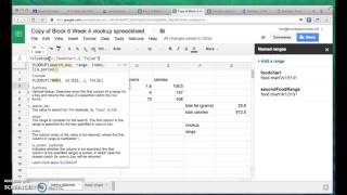 D16: Calorie Counter Spreadsheet Solution
