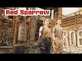 The Red Sparrow 朱雀战纪 2022 Official Trailer
