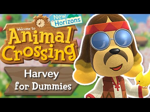 Harvey for Dummies | Animal Crossing New Horizons