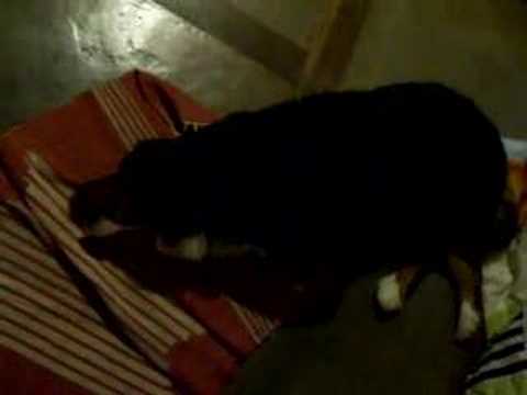 download lagu mp3 mp4 Flora Yoga, download mp3 Flora Yoga free download, download mp3 Flora Yoga