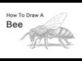 How to Draw a Bee How to Draw a Bee