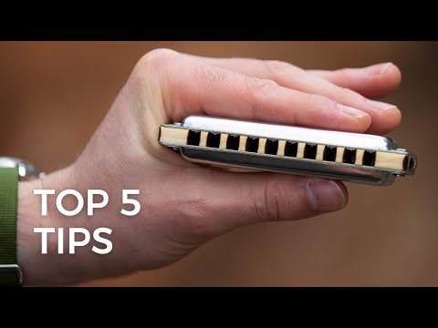 The First FIVE Things Beginner Blues Harmonica Players MUST Learn