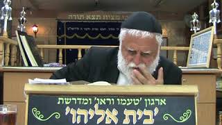 אידרא זוטא 8