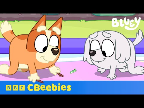 Bingo The Bug Inspector Finds a Caterpillar! 🐛 | Bluey | CBeebies