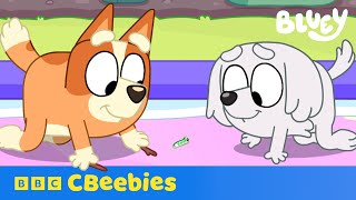 Bingo The Bug Inspector Finds a Caterpillar! 🐛 | Bluey | CBeebies