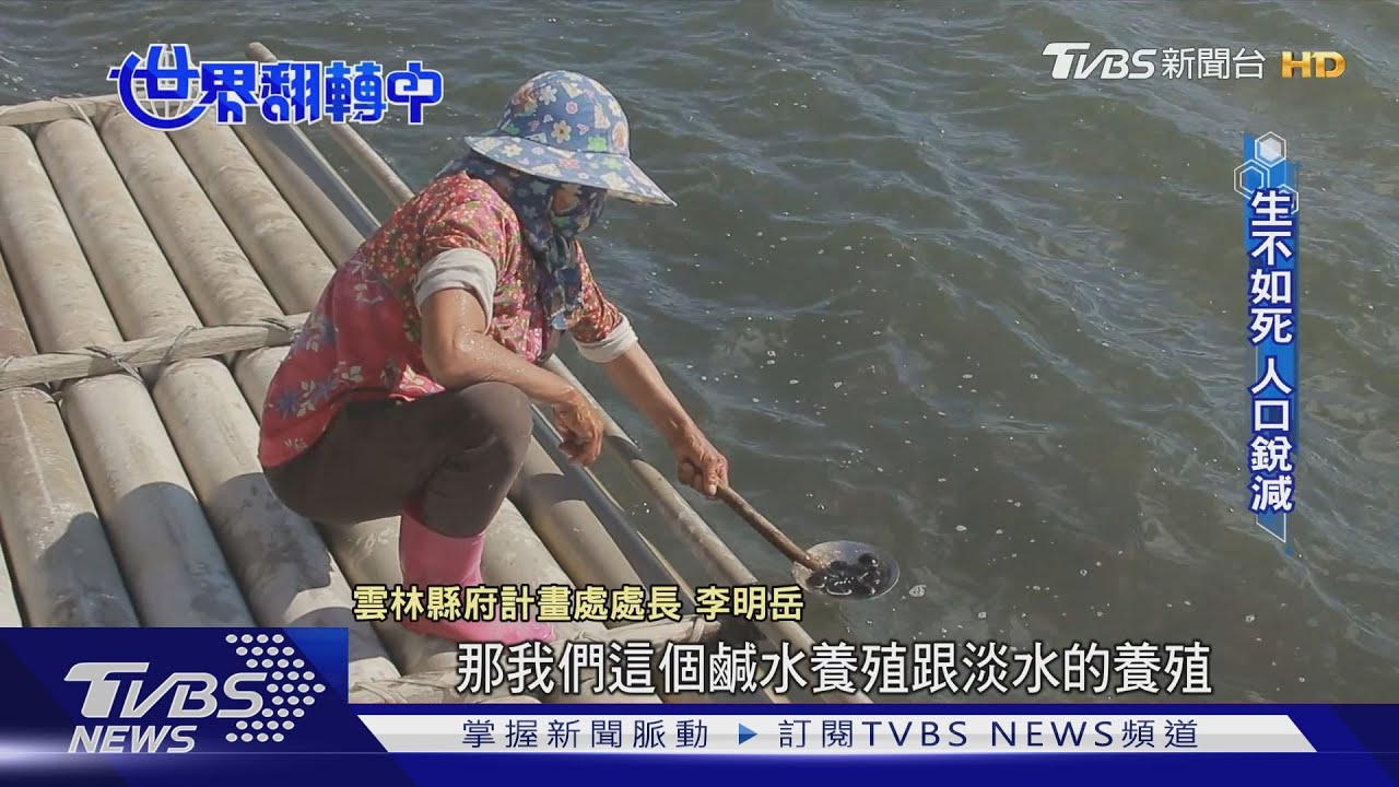 氣候變遷+人口外移　沿海養殖業陷危機如何續命？