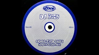 DJ Icey - Cross Eyed Sally (Robotic Ragga Mix)