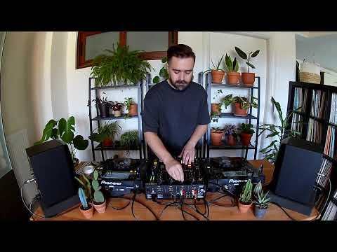 Little D. Autumn Session (November 2020)