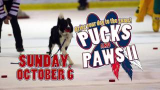 preview picture of video 'Johnstown Tomahawks Pucks and Paws Game 2013'