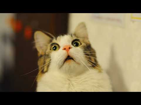 [LQ] Debbie Davis - Over Anxious (1985)