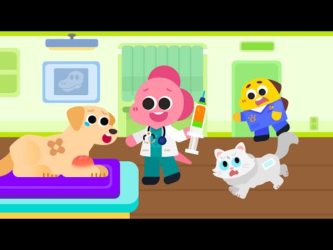 Cocobi Animal Hospital -Doctor Video