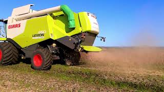 Soybeans harvest 2021 Hokkaido