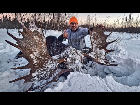 Moose Hunt 2022 We Take Down a Monster