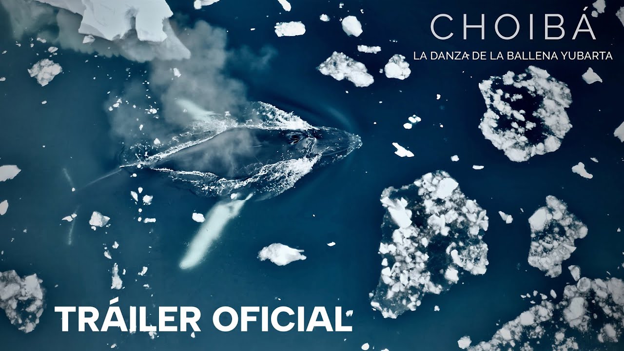 Choibá: The Dance of the Humpback Whale — Official Trailer