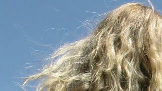 nick nicely Translucence (official)