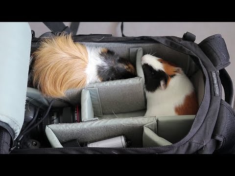 Lowepro Flipside 400AW review