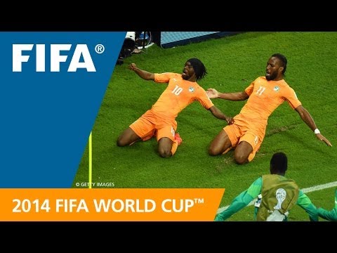 FWC 2014 - Côte d'ivoire v Japan - International Sign Highlights
