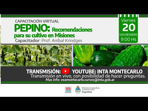 , title : 'PEPINO: Recomendaciones para su cultivo en Misiones.'
