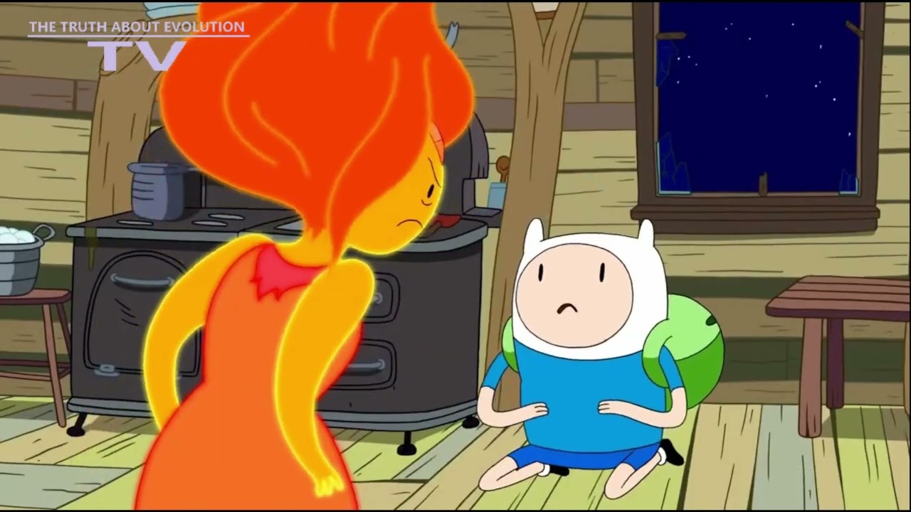 Adventure Time - Finn Gets Slapped (The Truth About Evolution TV)