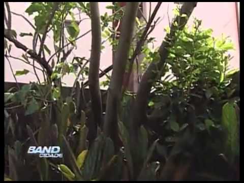 Band Cidade Campinas - Bens tombados em Campinas - 24 09 2012