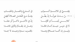 صورة شرح ملح الناد - تتمة ستر العورة٣ - عامر بهجت