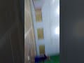 Gorlaveedu
