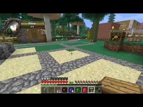 Mobius Unleashed: Minecraft FTB - S02 E17 - Custom NPCs - Refugee to Regent Challenge