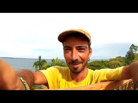 Charpente de toit, enfin le sommet ! -  Ecolodge OTDM -  Ep 17