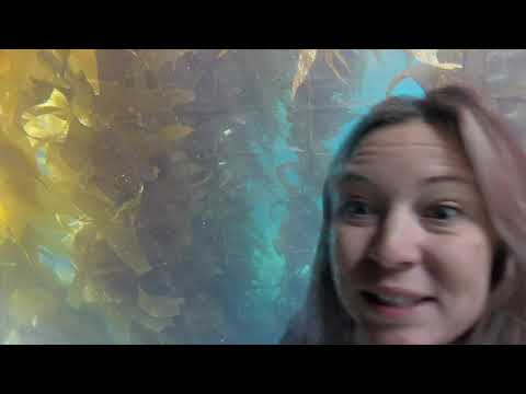 CIMI Virtual Snorkel