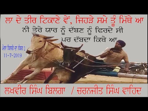 2ND WINER JORI HALT RACE PIND BILGA (FILAUR ) 11-7-2019