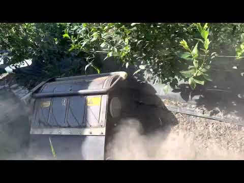 Speed Green ORIZZONTI blueberry