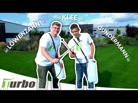Unkraut im Rasen entfernen | Wir zeigen dir wie! | Turbogrün